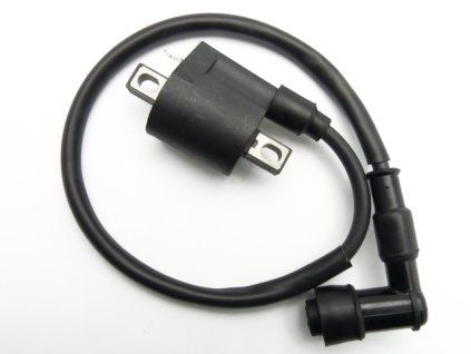 wpbraceingnitioncoil