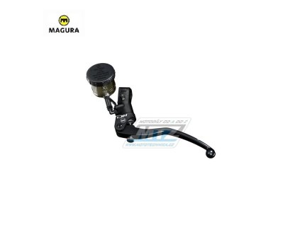 mg2100489 e