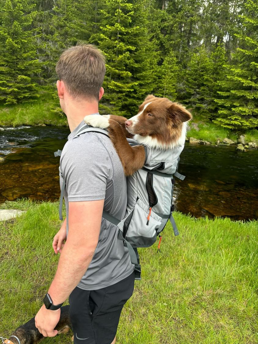 🐶 Jak vybrat batoh pro psa, který opravdu sedne