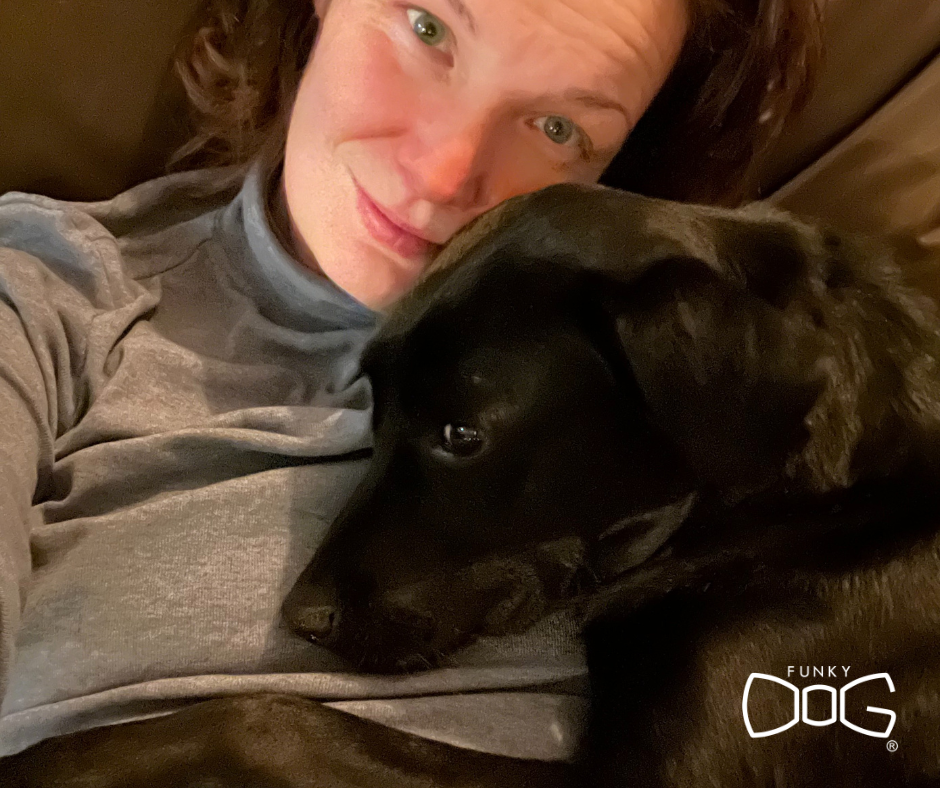 Dočaskování Psa z Útulku: Kompletní Manuál pro Dočasné Páníčky