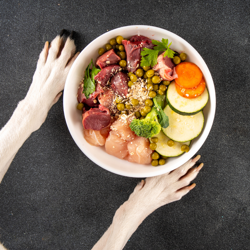 Jaterní dieta pro psy: Co mohou a nemohou jíst?