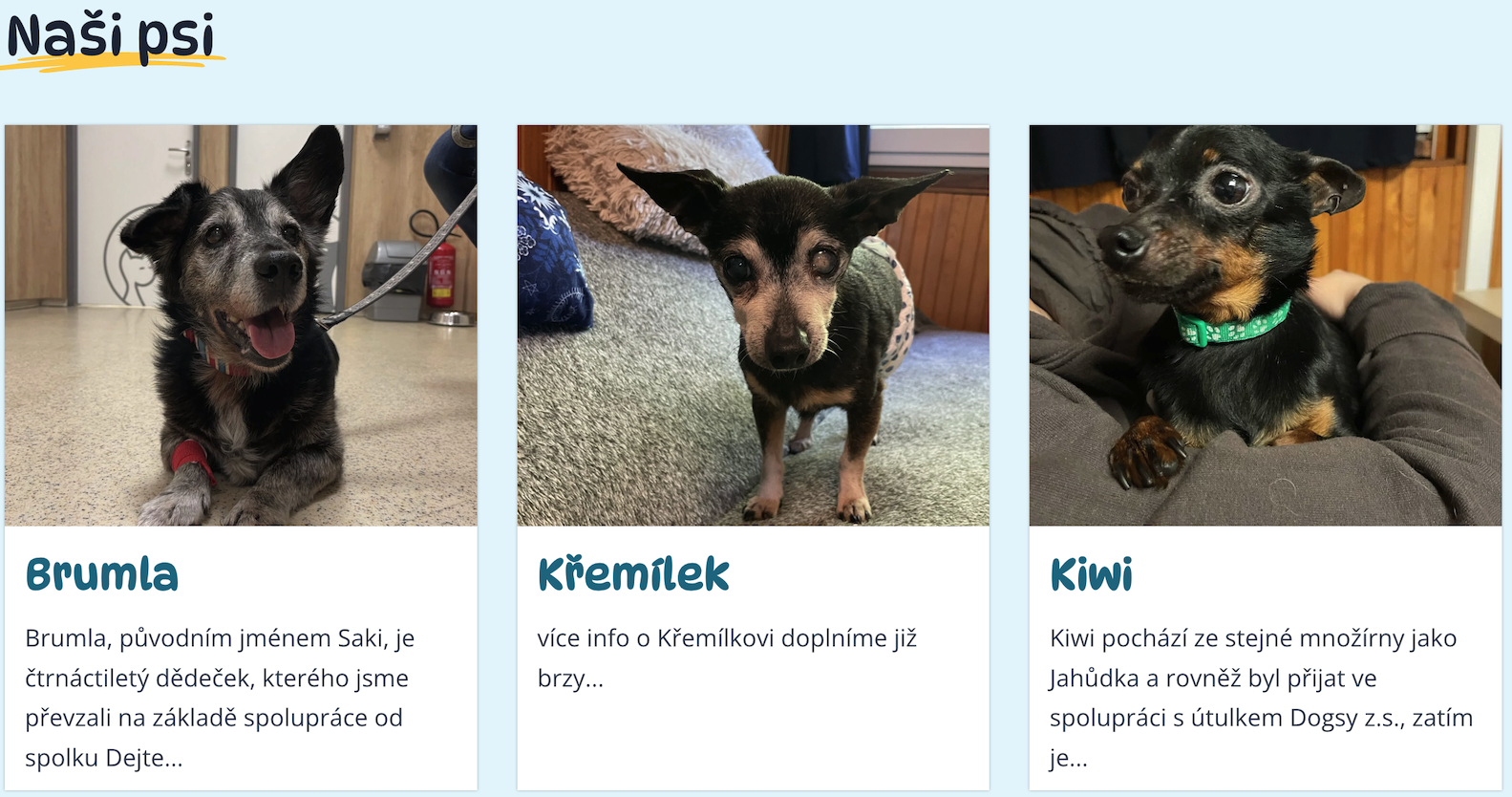 🎗️ Podpořili jsme Azyl Bubáčkov částkou 5 000 Kč