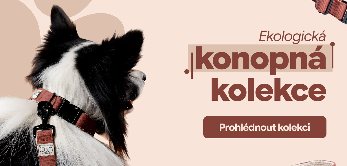 Ekologická kolekce