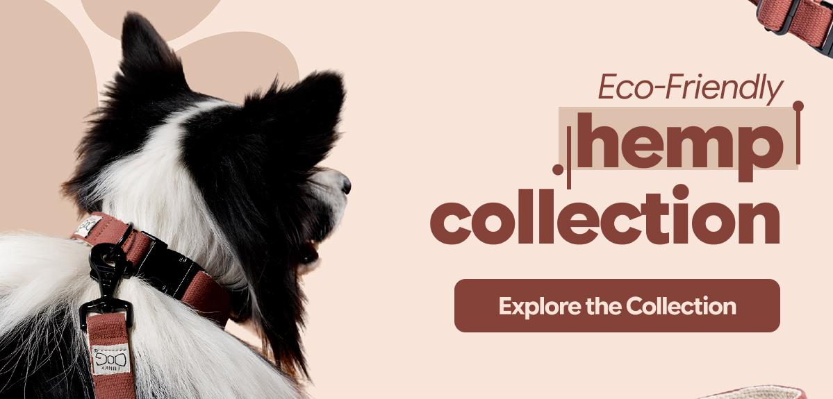 Eco-friendly hemp collection