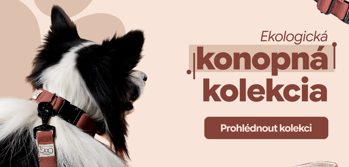 Ekologická kolekce