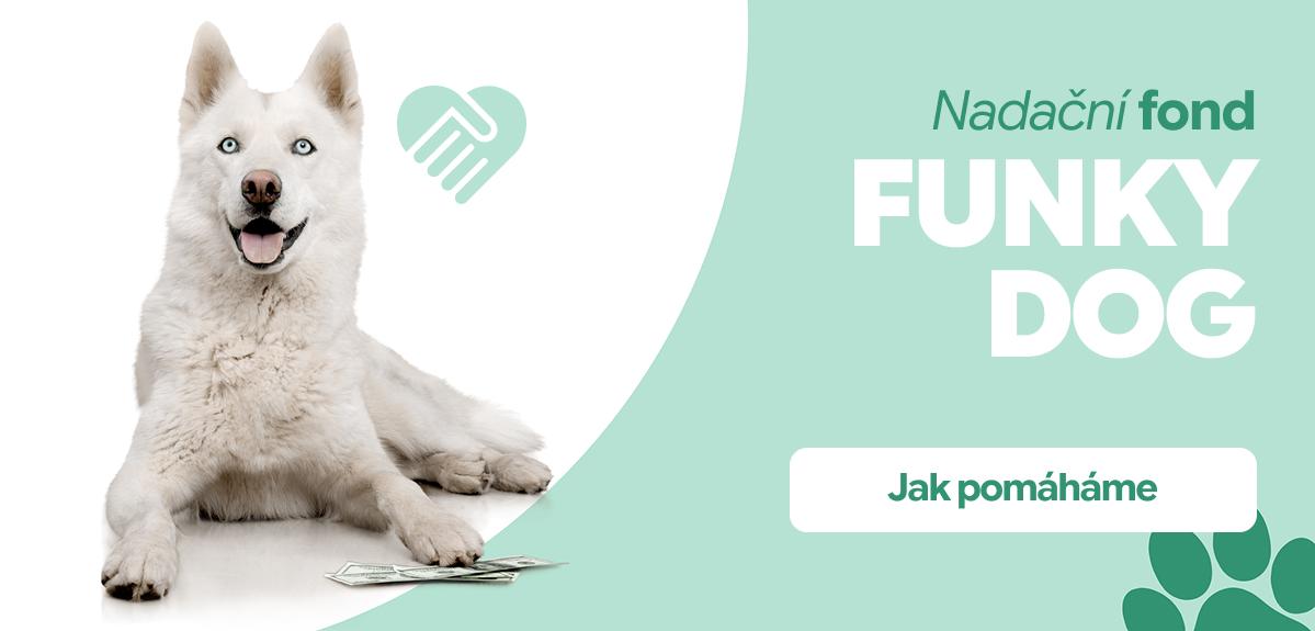 Nadace funky dog