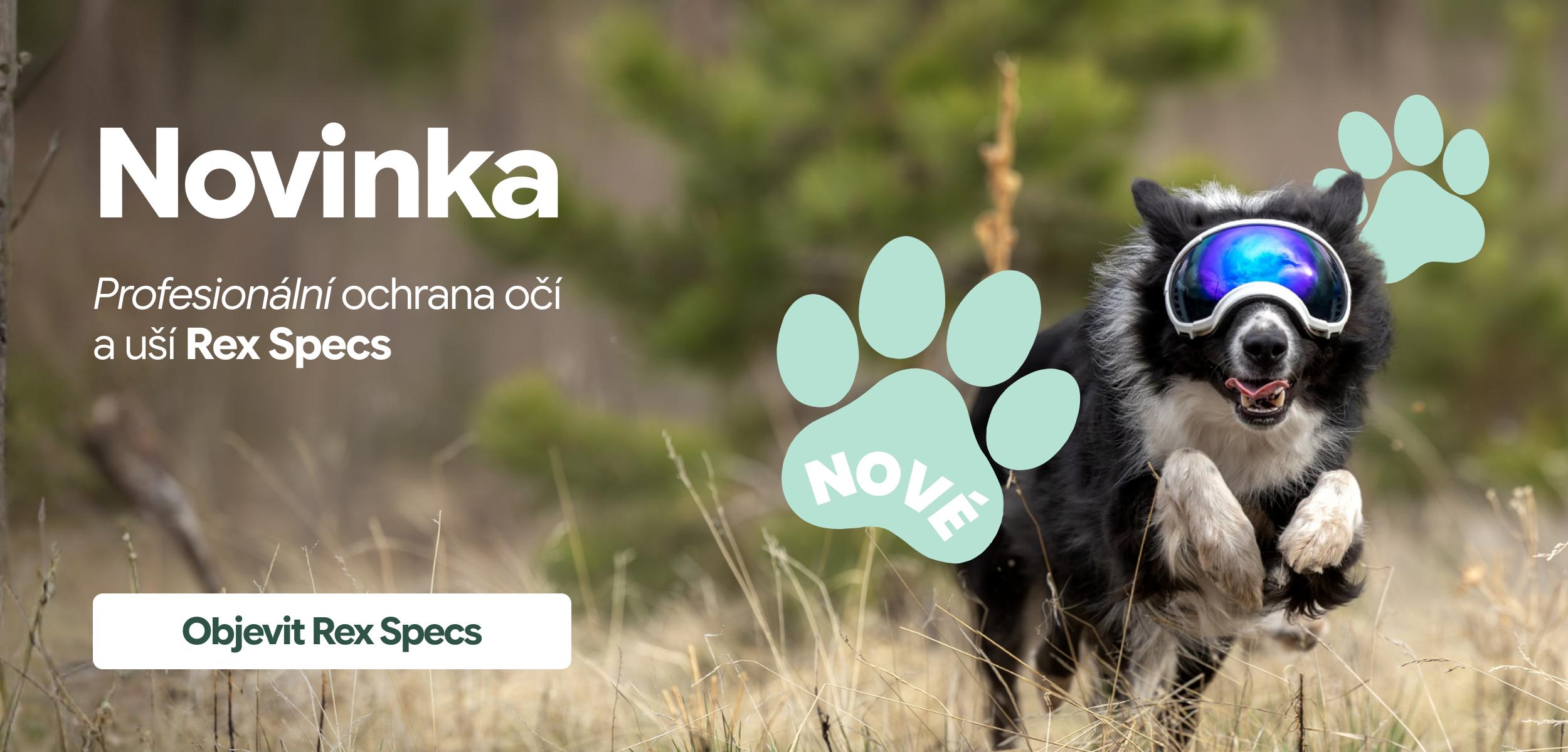 Ochrana očí a uší