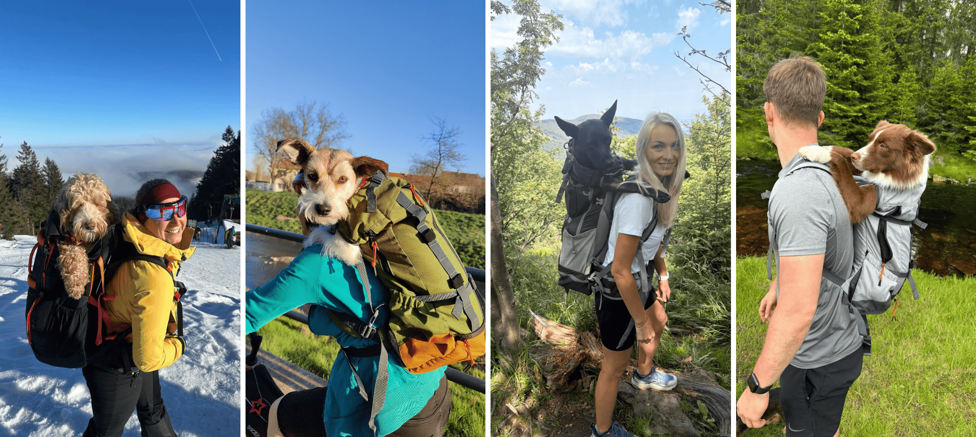 Dog backpacks