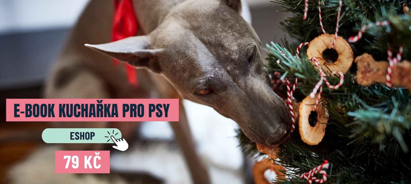 E-book kuchařka pro psy