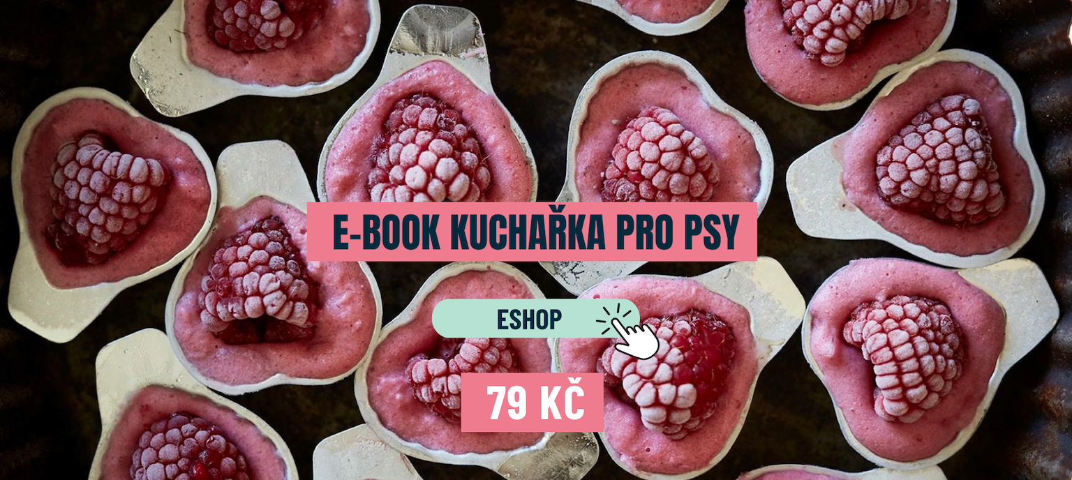 E-book kuchařka pro psy