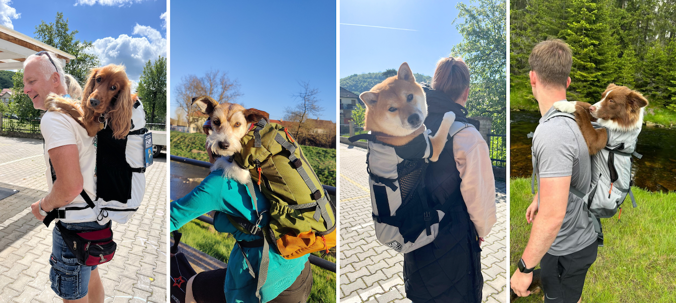 K9 Sports sack batohy na psy