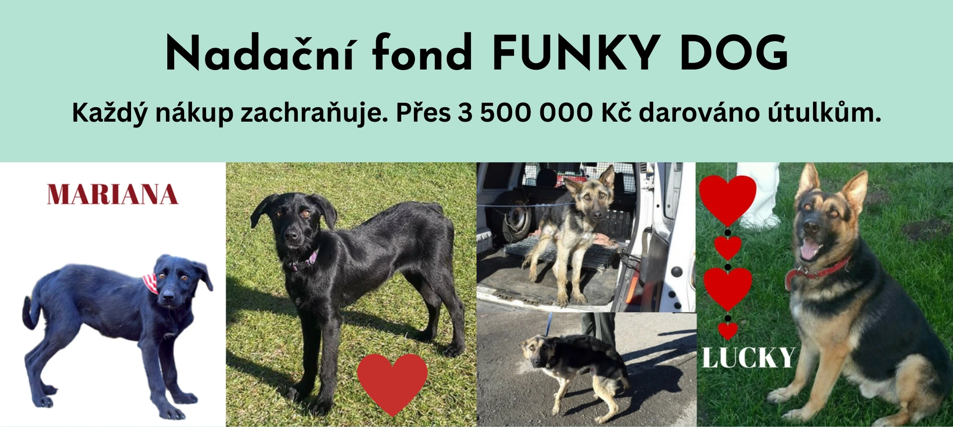 Nadační fond FUNKY DOG