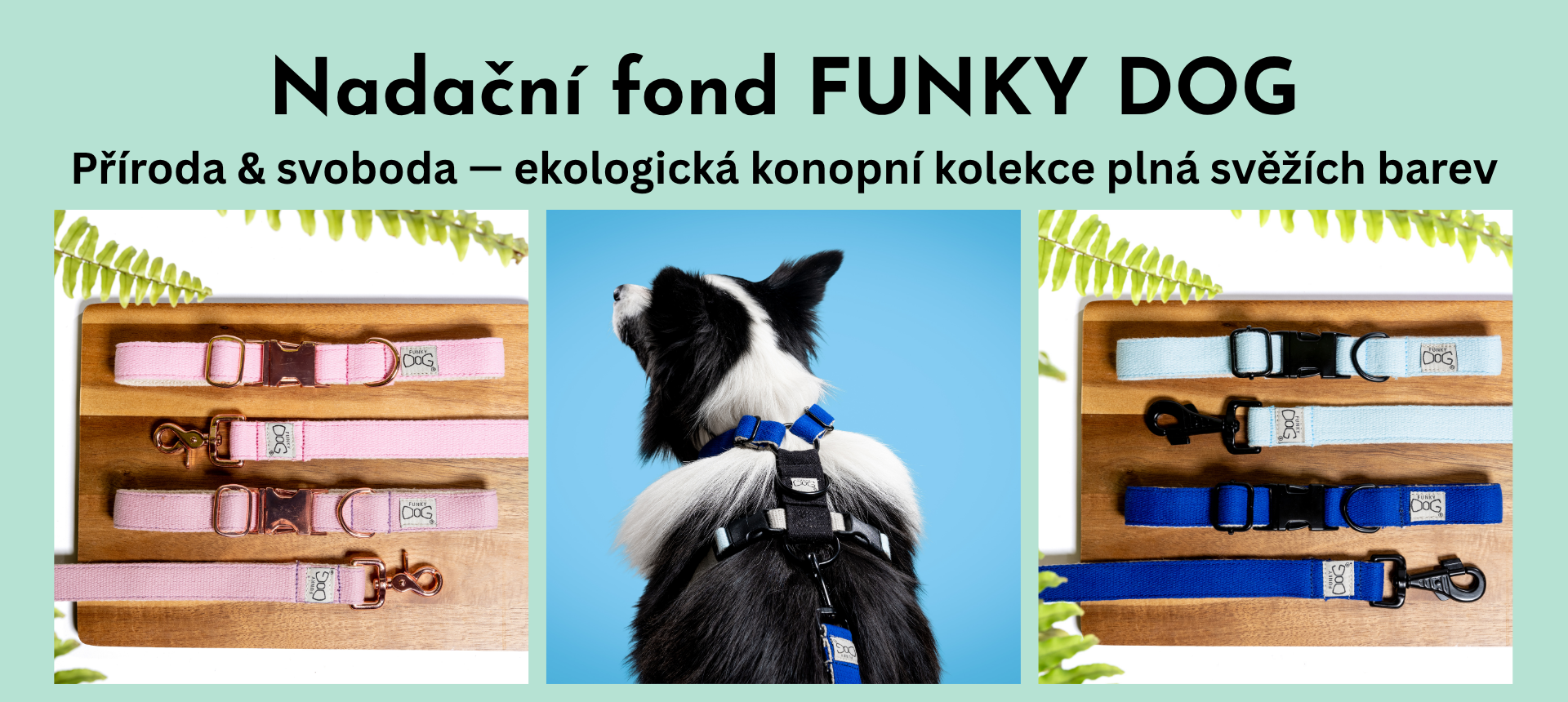ekologická konopní kolekce plná svěžích barev