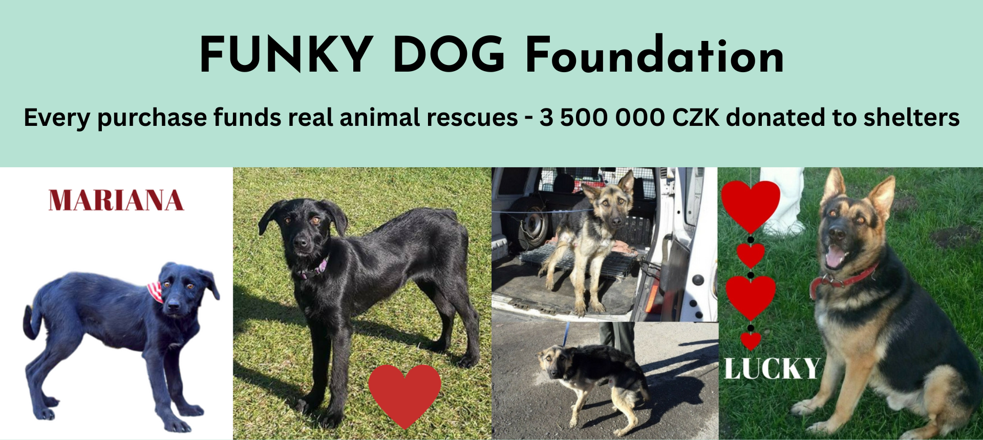 FUNKY DOG Foundation
