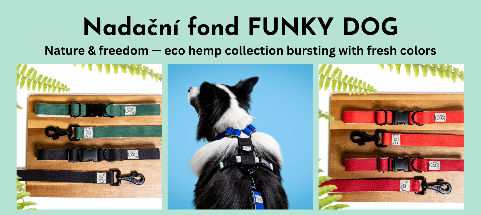eco hemp collection bursting with fresh colors