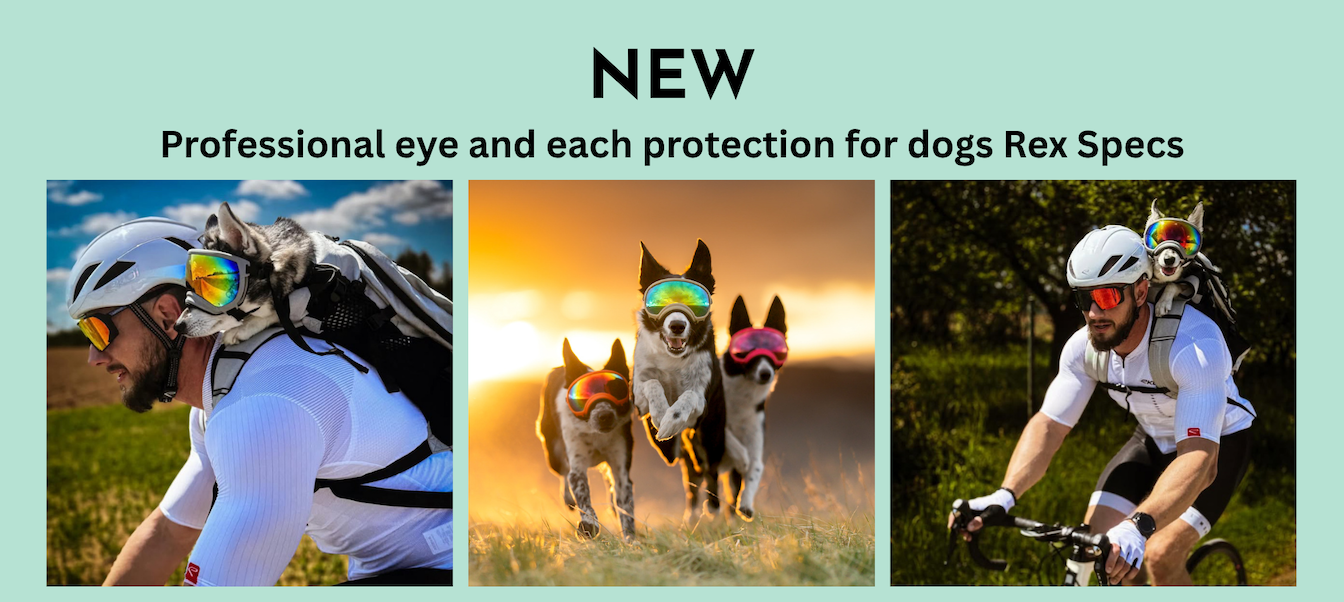 Dog googles Rex Specs
