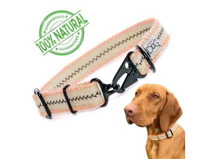 ecological durable dog collar made of hemp webbing emroidered 3