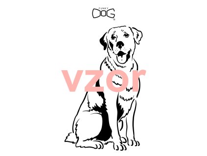 funky dog omalovanky pejsci 1