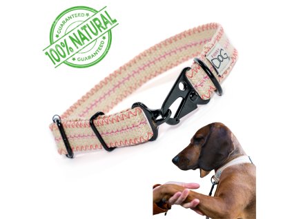 ecological durable dog collar made of hemp webbing emroidered 1
