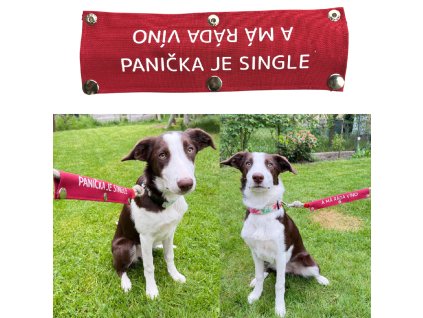 návlek na vodítko panička je single