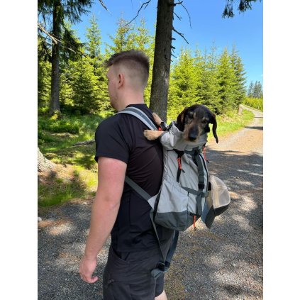 D766A04B A76F 4D6D 932B C65DE77E303C