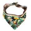 Exotic colorful dog bandana