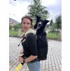 Knavigate Dog Carrier Backpack up to 23 kg