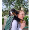 Kolossus Dog Carrier Backpack up to 36 kg