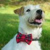 Red Plaid Scottish Dog Bow Tie