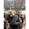 Batoh pro psy Little Chonk Maxine One - ergonomický nosič do 22 kg