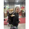 Batoh pro psy Little Chonk Maxine One - ergonomický nosič do 22 kg