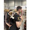 Batoh pro psy Little Chonk Maxine One - ergonomický nosič do 22 kg