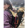Batoh pro psy Little Chonk Maxine One - ergonomický nosič do 22 kg