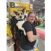 Batoh pro psy Little Chonk Maxine One - ergonomický nosič do 22 kg