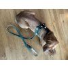 Hemp Dog Harness - green & black  Eco-Friendly Adjustable Dog Harness for Sensitive Skin