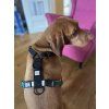 Hemp Dog Harness - green & black  Eco-Friendly Adjustable Dog Harness for Sensitive Skin
