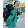 K9 sport sack batohy pro psy little chonk 7