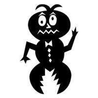                                     Pavlína Herrmannová
                            