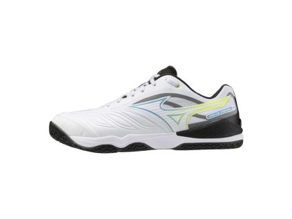 Mizuno
