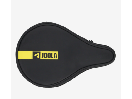 joola case
