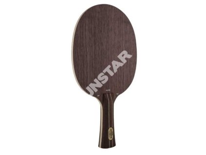 Stiga drevo Defensive PRO