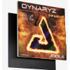 dynaryz