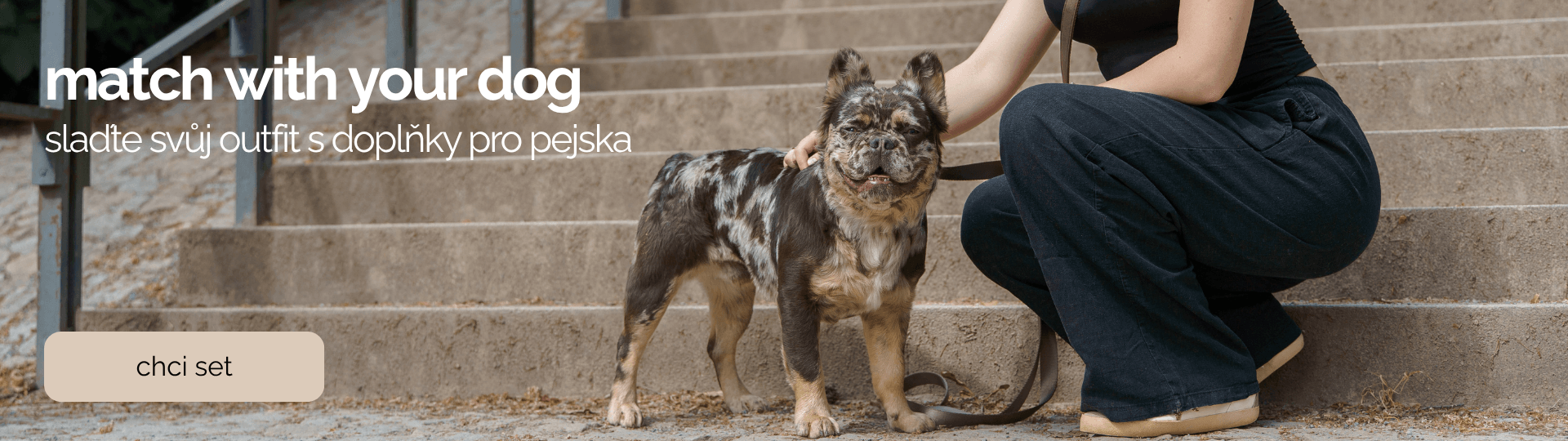 match with your dog