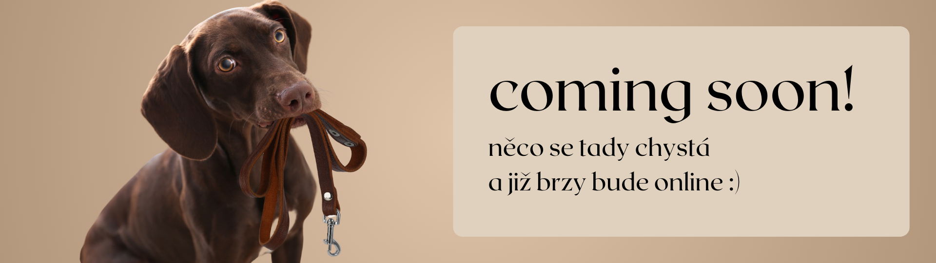 Coming soon