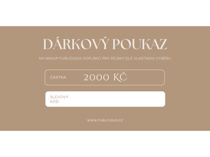 poukaz rozmer obálka DL