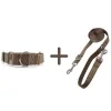 Set BROWNIE vodítko + obojek M