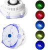 Whirlpool - LAY-Z-SPA - Jacuzzi Whirlpool - Bestway 23403