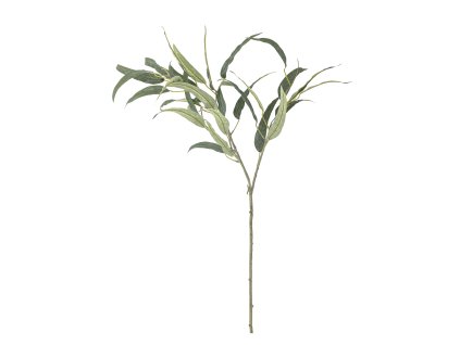 th5rzbowwor9rdvorvi5