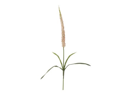 ovjsvs2p2nlabbiw8vga