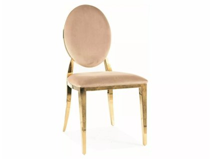sametové křeslo king – béžová do jídelny